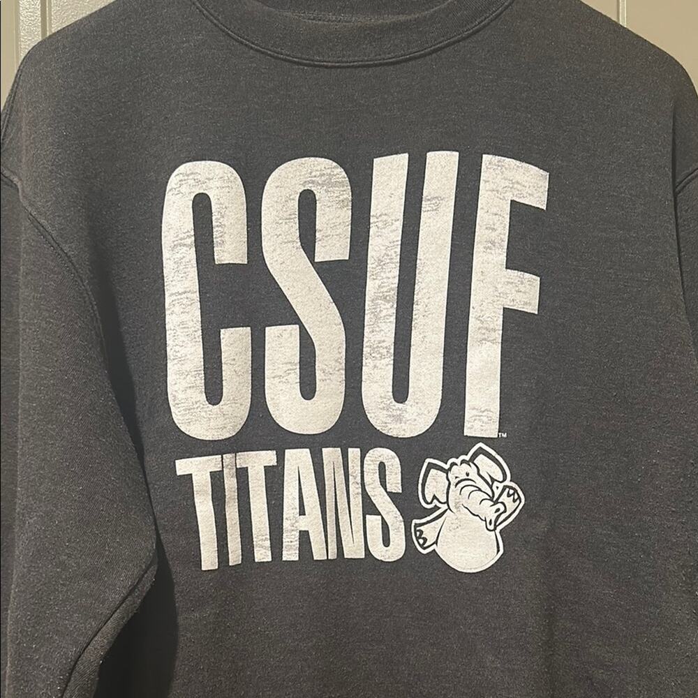 JANSPORT CSUF Titans Sweatshirt - Picture 2 of 5